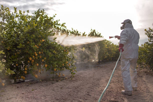 Best Pest Inspection Near Me  in Harvest, AL