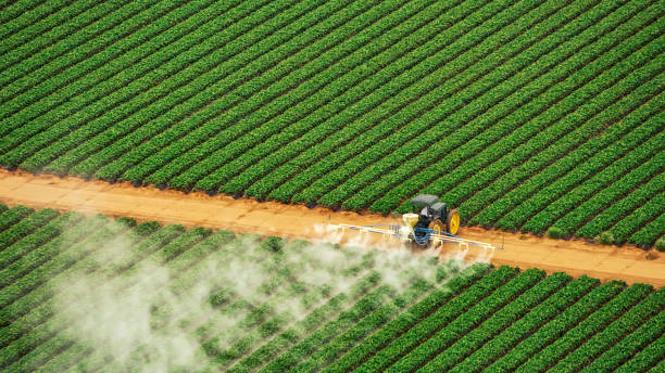 Best Pest Control Near Me  in Harvest, AL