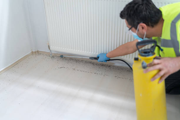 Professional Pest Control in Harvest, AL